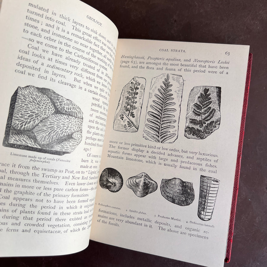 1899 - Wonders of Rocks, Plants and Animals; Being A Popular Account of the Earth and Its History, Minerals and Fossils, And of the Classes Of Animals and Plants, Their Structure and Mode of Life.