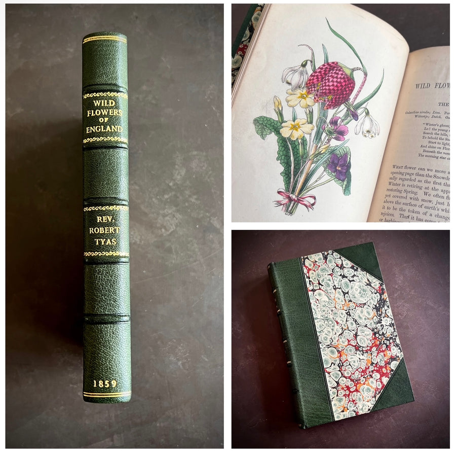 The Wild Flowers of England (1859) | With Hand-Painted Plates