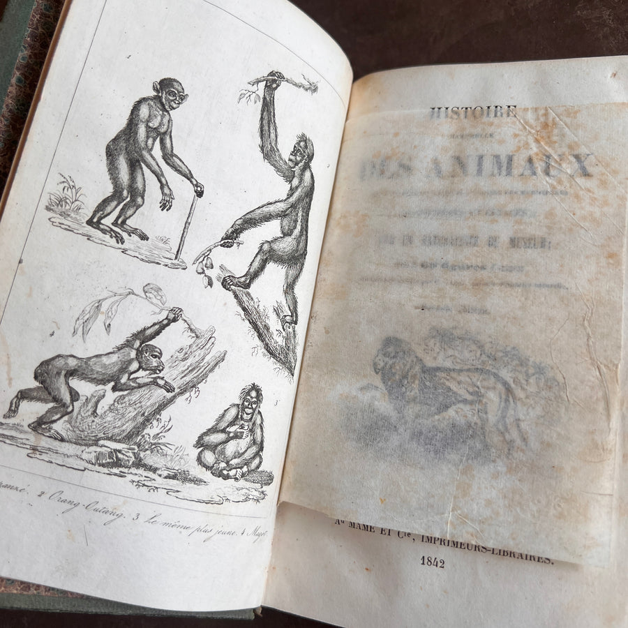 Histoire Naturelle des Animaux | 1842 |Green Gilt “Pension Dupont” Binding | Illustrated