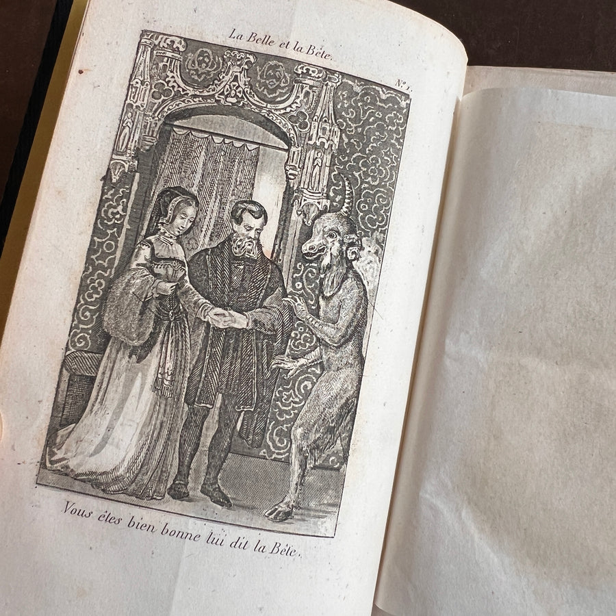 Le Magasin des Enfas ou Dialogues D’Une Sage Gouvernante Avec Ses Eleves  — Mme Leprince de Beaumont | Mid-19th Century French Edition | 2 Volumes in 1 | Fine Gilt-Decorated Binding
