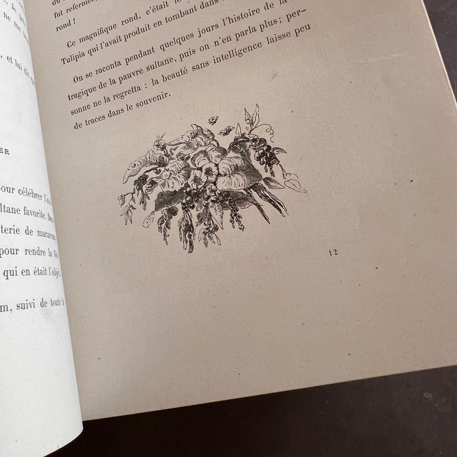 1867 Les Fleurs Animées – Grandville’s Botanical Anthropomorphism Masterpiece l 2-Volumes