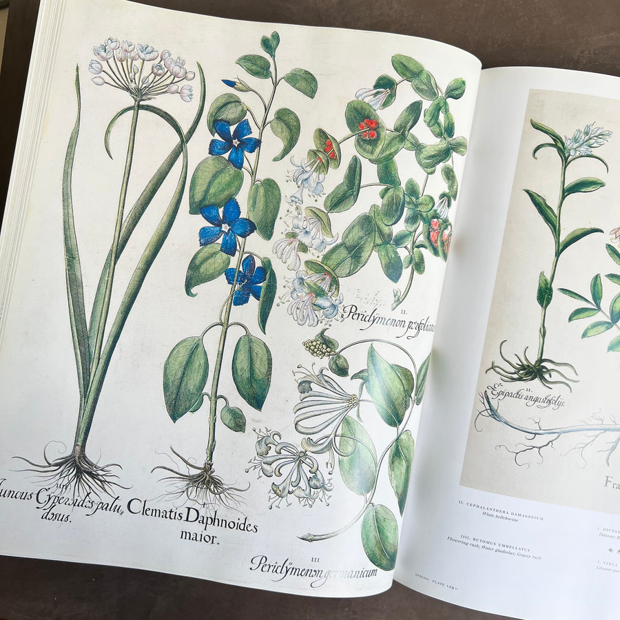 Botanical Pattern Book 2007 - The Book of Botanical Prints; The Complete Plates – Honey Bee Mill