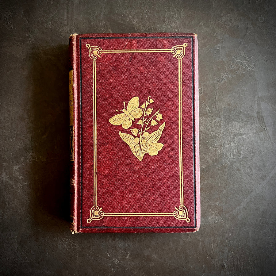 British Butterflies; Figures and Descriptions of Every Native Species by W.S. Coleman (c.1870s-1880s)