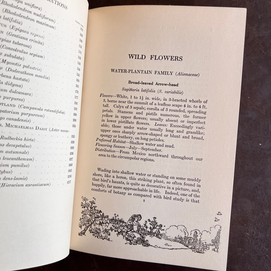 1926 - The Nature Library; Wild Flowers