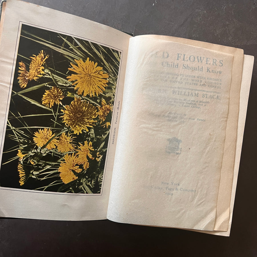 1909 - Wild Flowers Every Child Should Know, First Edition