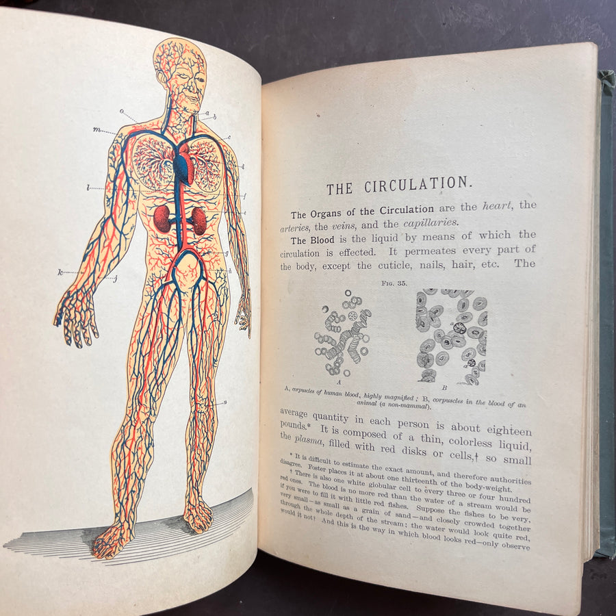 1888 - Hygienic Physiology; WIth Special Reference To The Use of Alcoholic Drinks and Narcotics