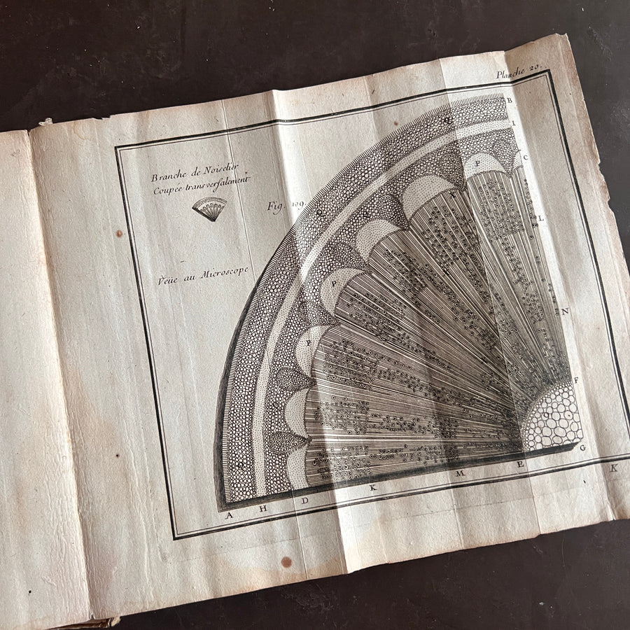 1756 Grammaire des Sciences Philosophiques — Vellum-Bound Scientific Encyclopaedia with Newtonian & Copernican Fold-Out Plates