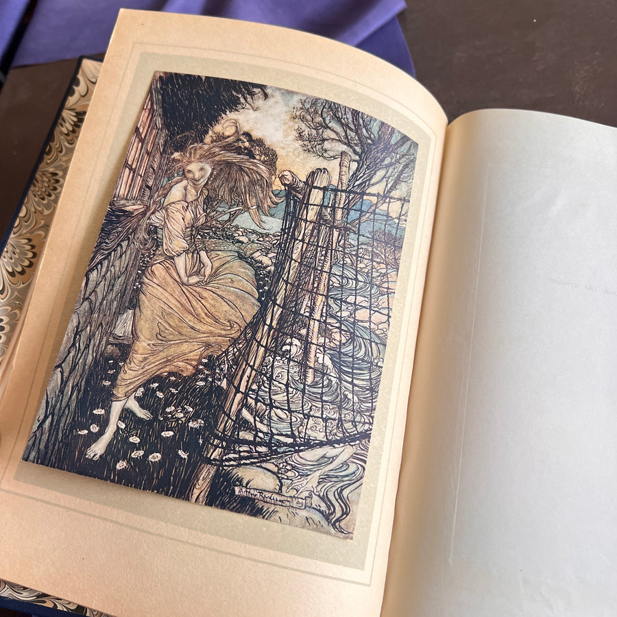 Undine | 1909 First Rackham Edition (Trade) | Illustrated by Arthur Rackham | Rebound in a Fine Leather Binding | Rare