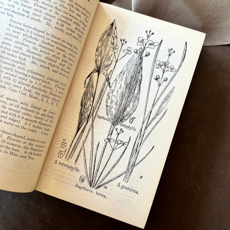 1927 - Field Book Of American Wild Flowers