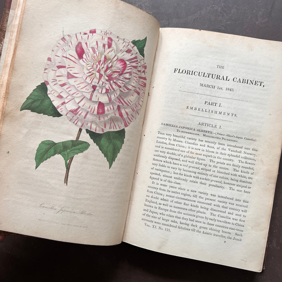 1843 - The Floricultural Cabinet and Florist’s Magazine, (Jan.-Dec. 1843)