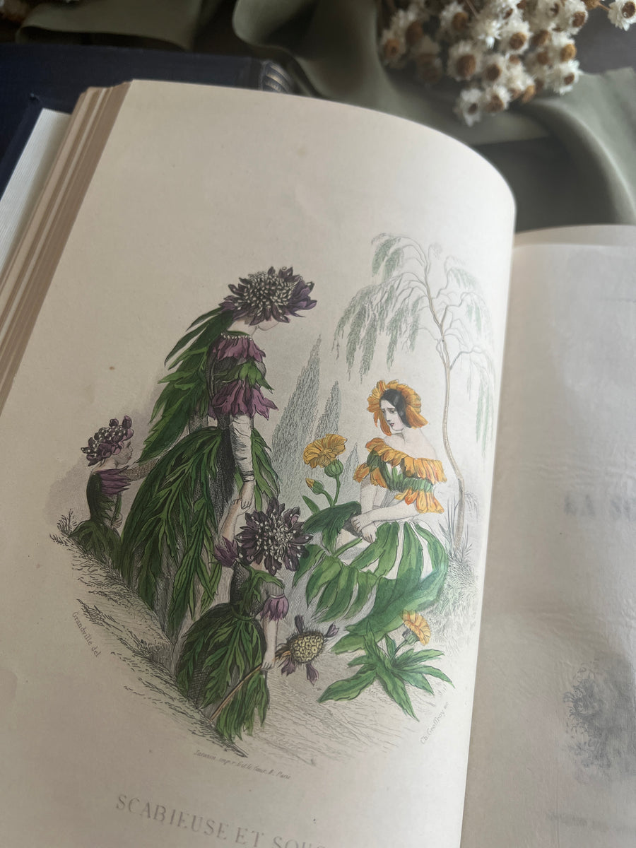 1867 Les Fleurs Animées – Grandville’s Botanical Anthropomorphism Masterpiece l 2-Volumes