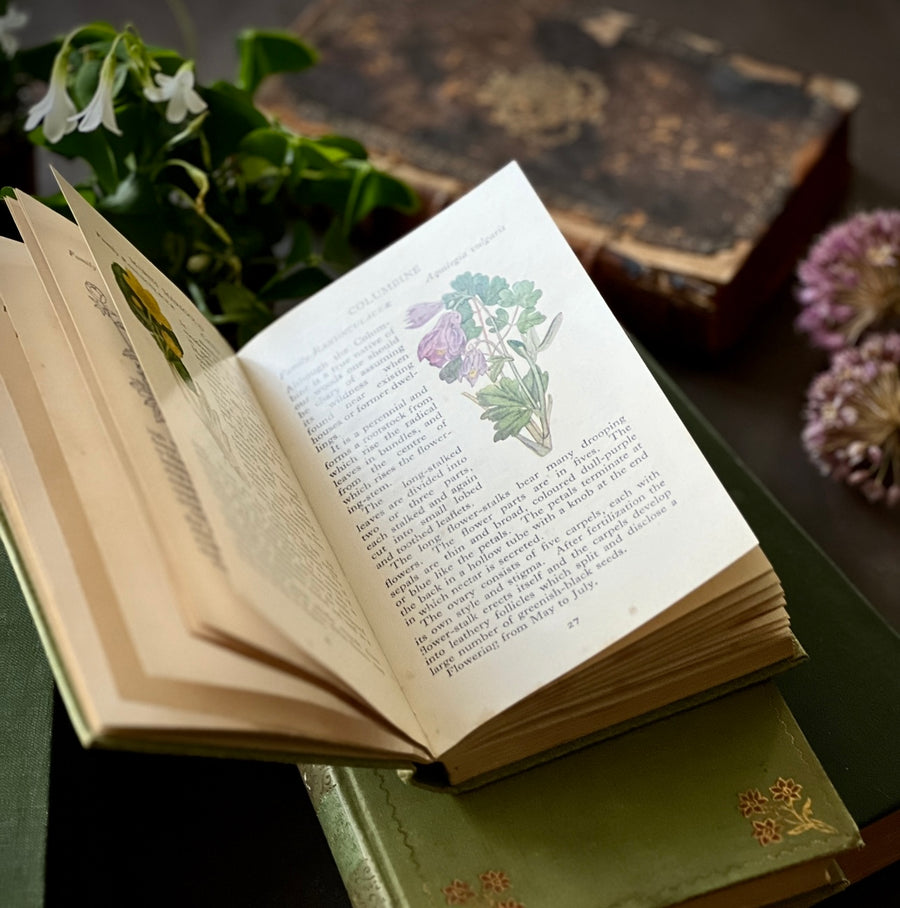 The Observer’s Book of Wild Flowers