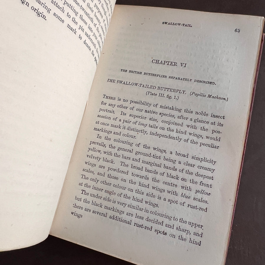 British Butterflies; Figures and Descriptions of Every Native Species by W.S. Coleman (c.1870s-1880s)