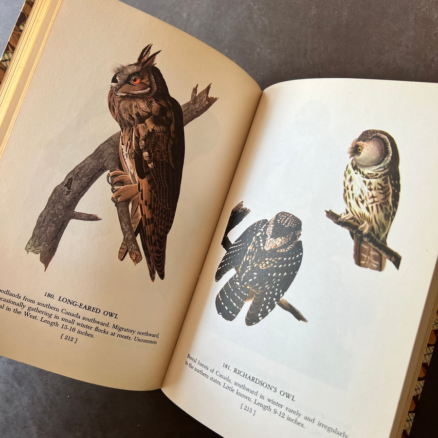 1950 - Audubon’s Birds of America