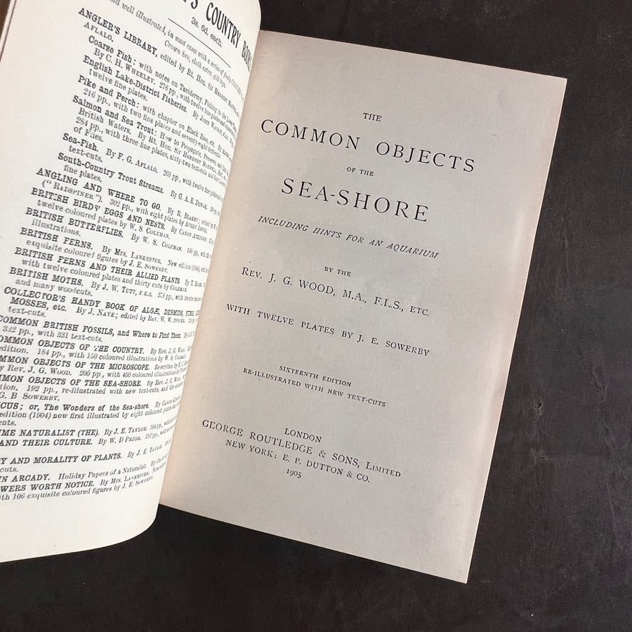 1905- The Common Objects of the Sea-Shore