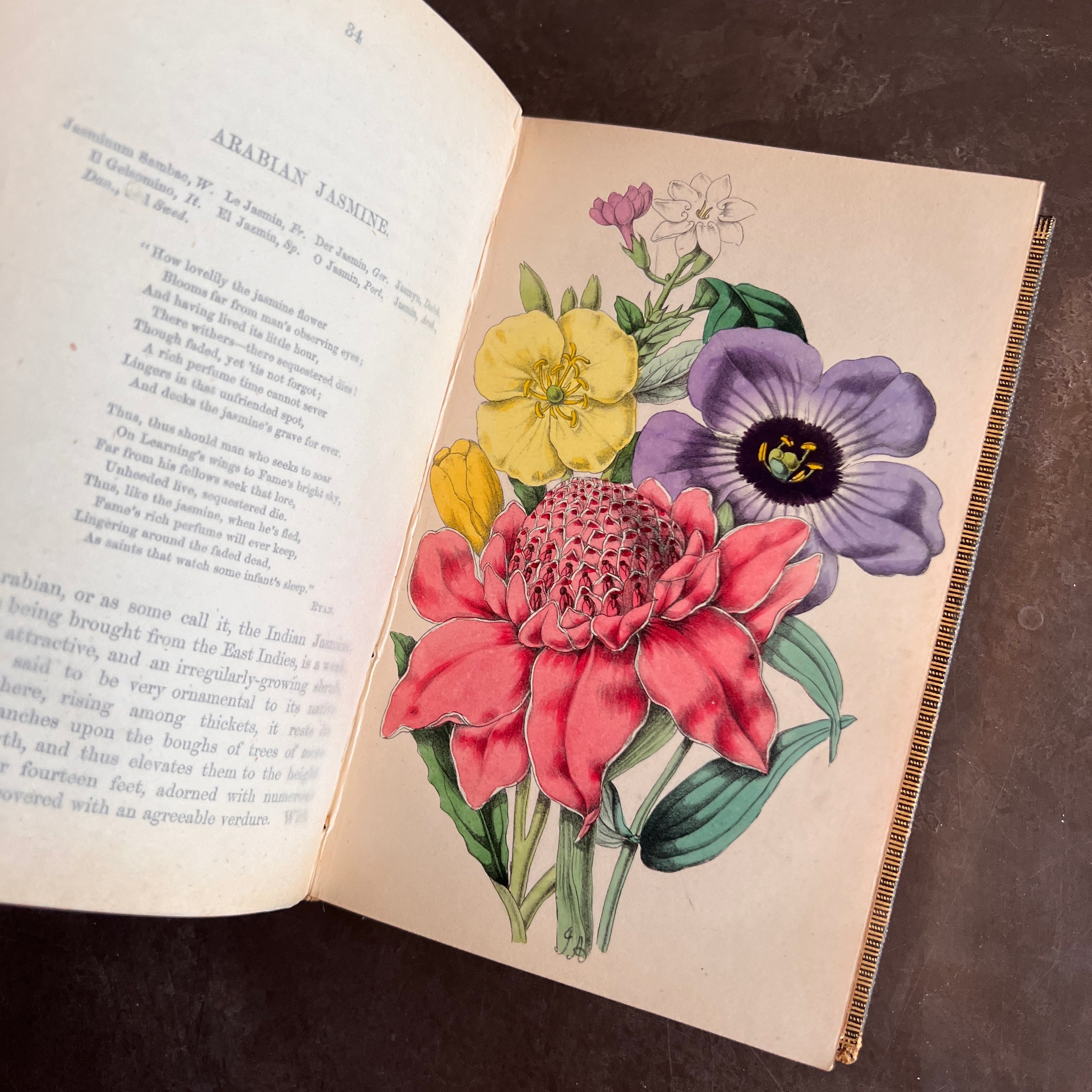 c.1853 - Flowers From Foreign Lands; Their History and Botany – Honey Bee  Mill