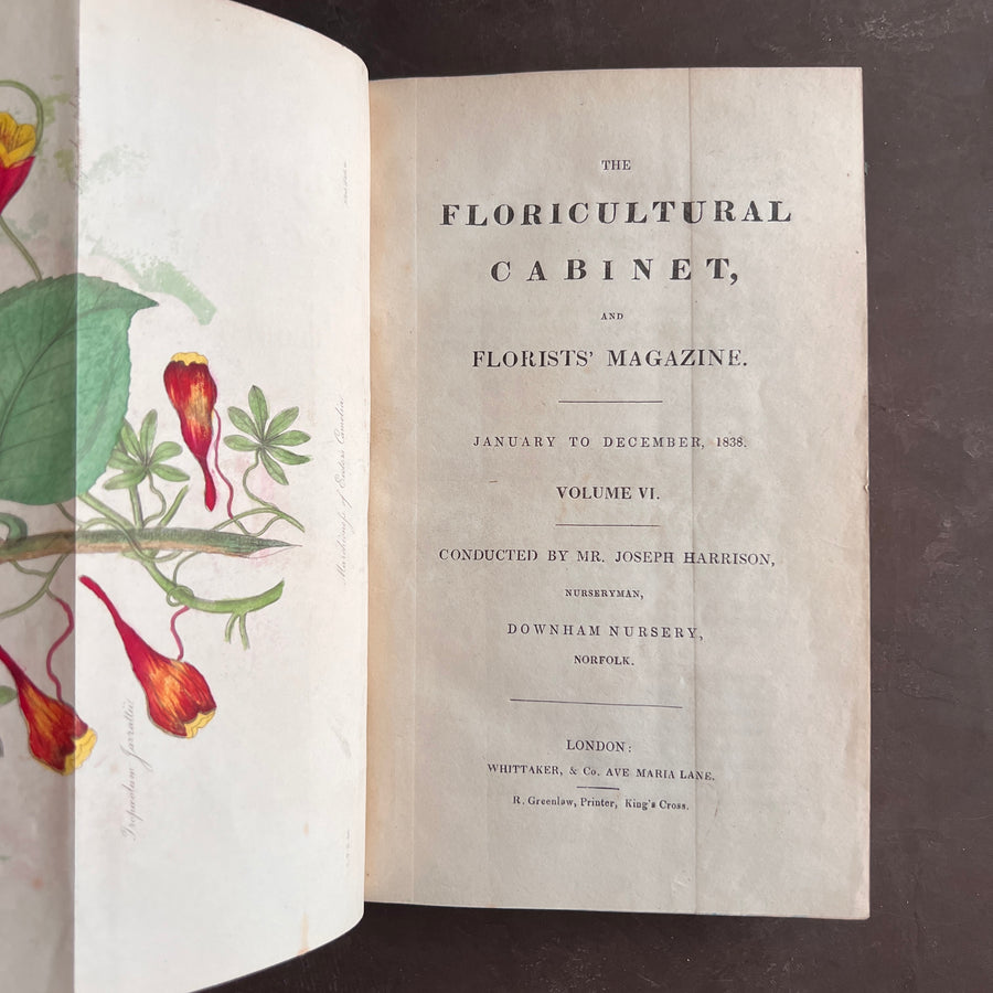 The Floricultural Cabinet and Florist’s Magazine | Fine Binding — Volume for 1838, Hand-Coloured Botanical Plates, Joseph Harrison (1830s–1840s)