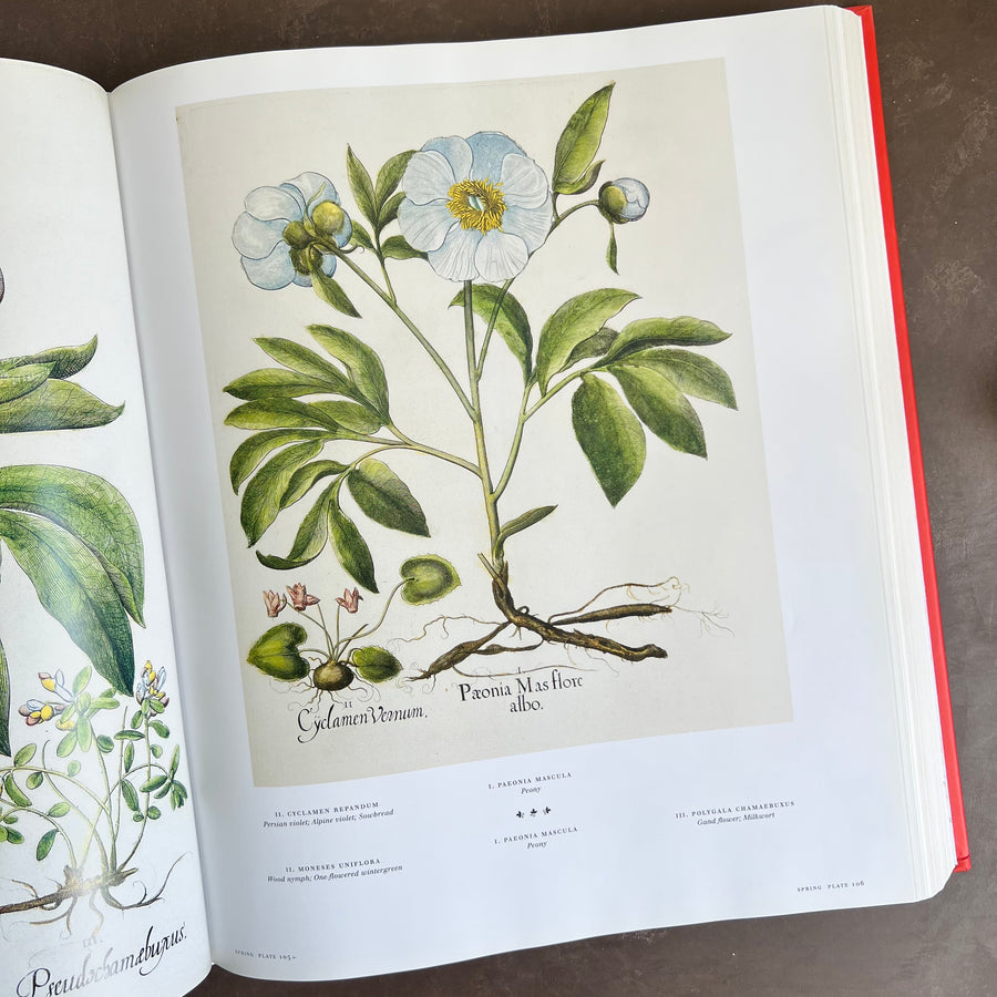 Botanical Pattern Book 2007 - The Book of Botanical Prints; The Complete Plates – Honey Bee Mill