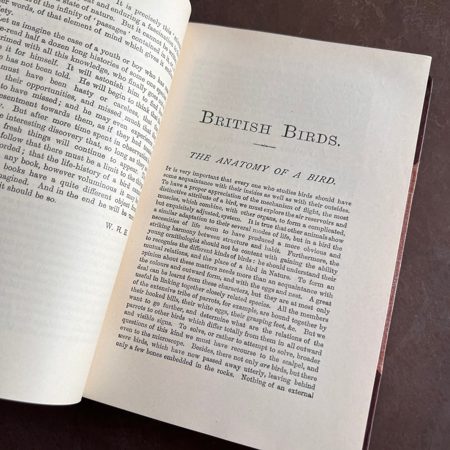 British Birds By W.H. Hudson (1926) | Half Leather Prize Fine Binding