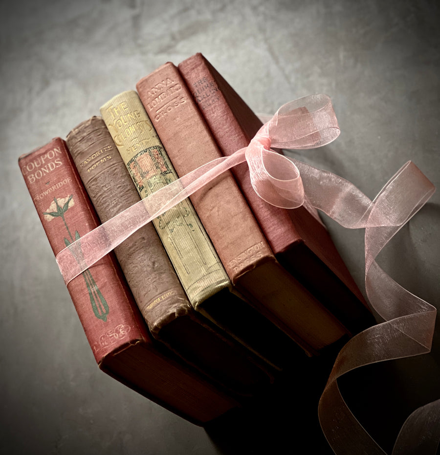 Vintage Pink/Red/ Ivory Valentine Book Bundle