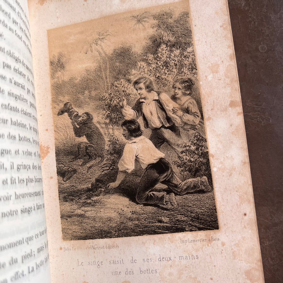 Les Émigrants – Gustave Nieritz | Illustrated | c.1840s-1850s | Gilt Architectural Motif and Gilt Urn to Boards