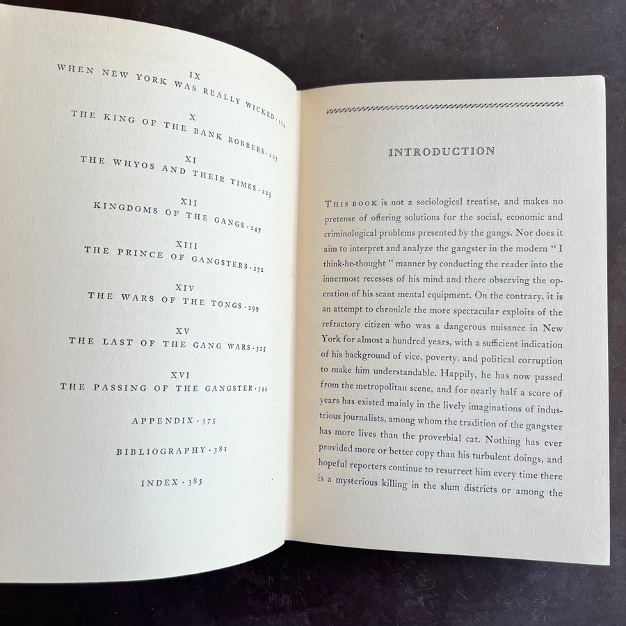 1928 - The Gangs of New York; An Informal History of the Underworld