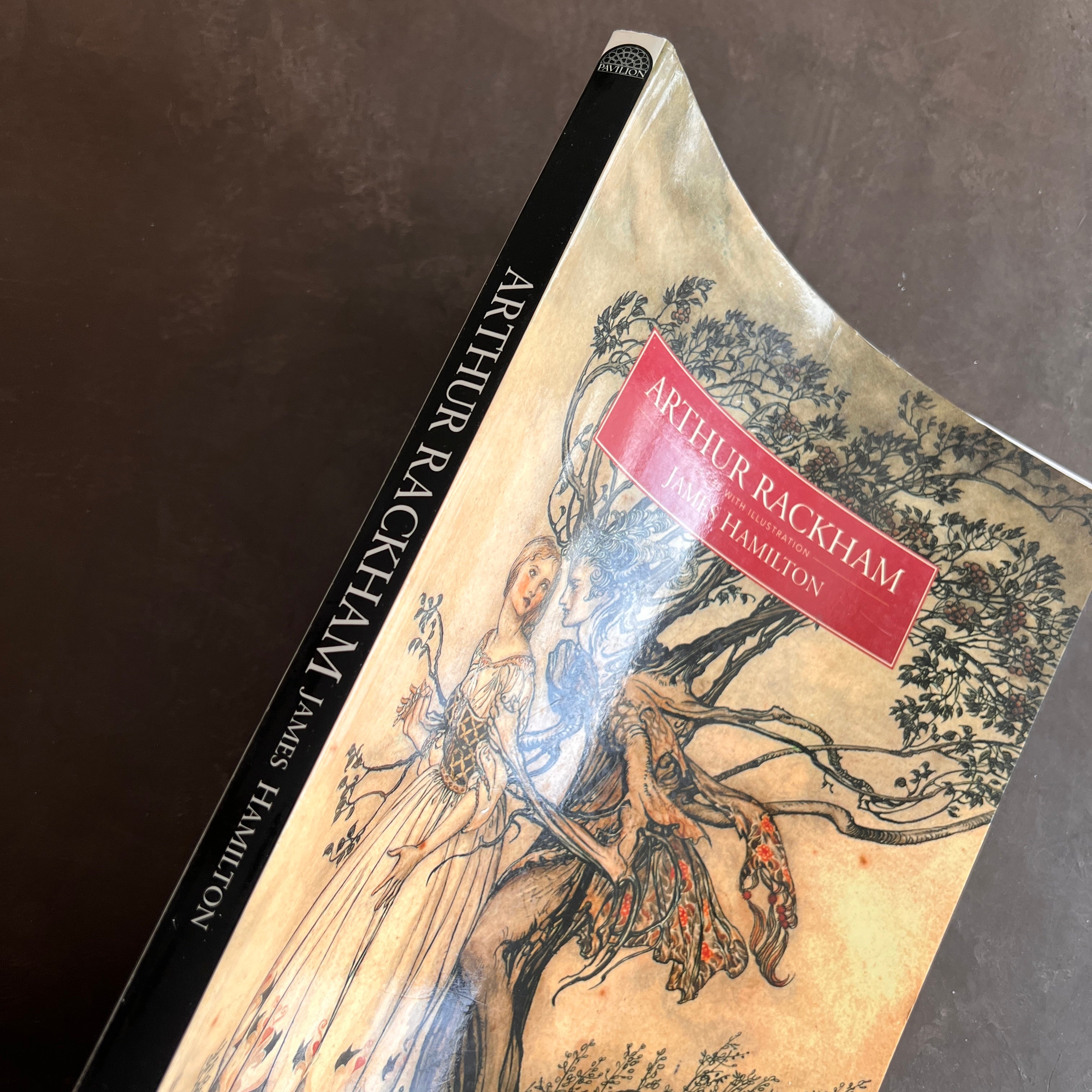 Arthur Rackham: A Life with Illustration — James Hamilton (1995) | Ill ...
