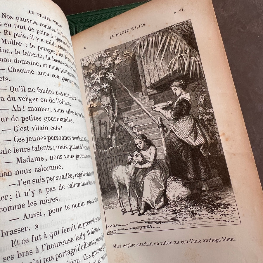 Le Pilote Willis by Adrien Paul | 1865 Complete 2-Volume Set | Illustrated