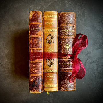 Antique French Book Bundle