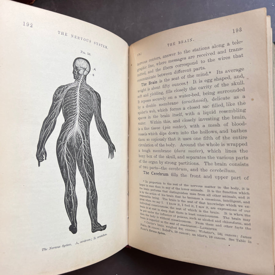 1888 - Hygienic Physiology; WIth Special Reference To The Use of Alcoholic Drinks and Narcotics