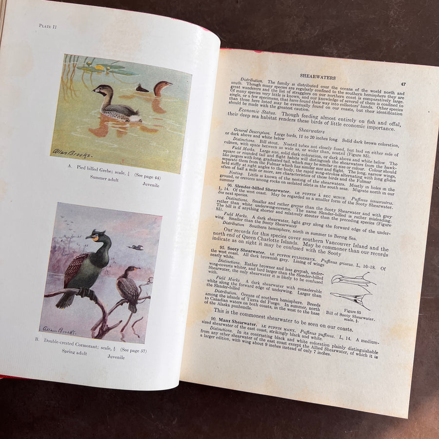 Birds of Canada by P.A. Taverner (1949 Revised Edition)