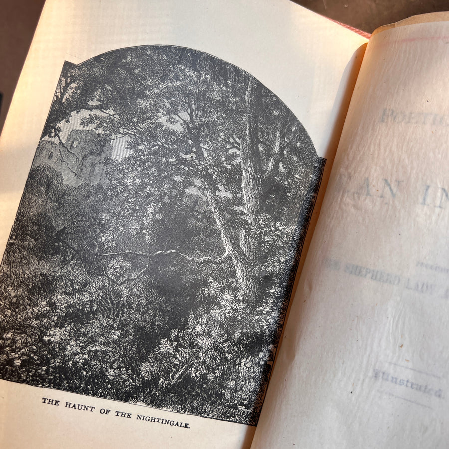 The Poetical Works of Jean Ingelow (1884) | Illustrated