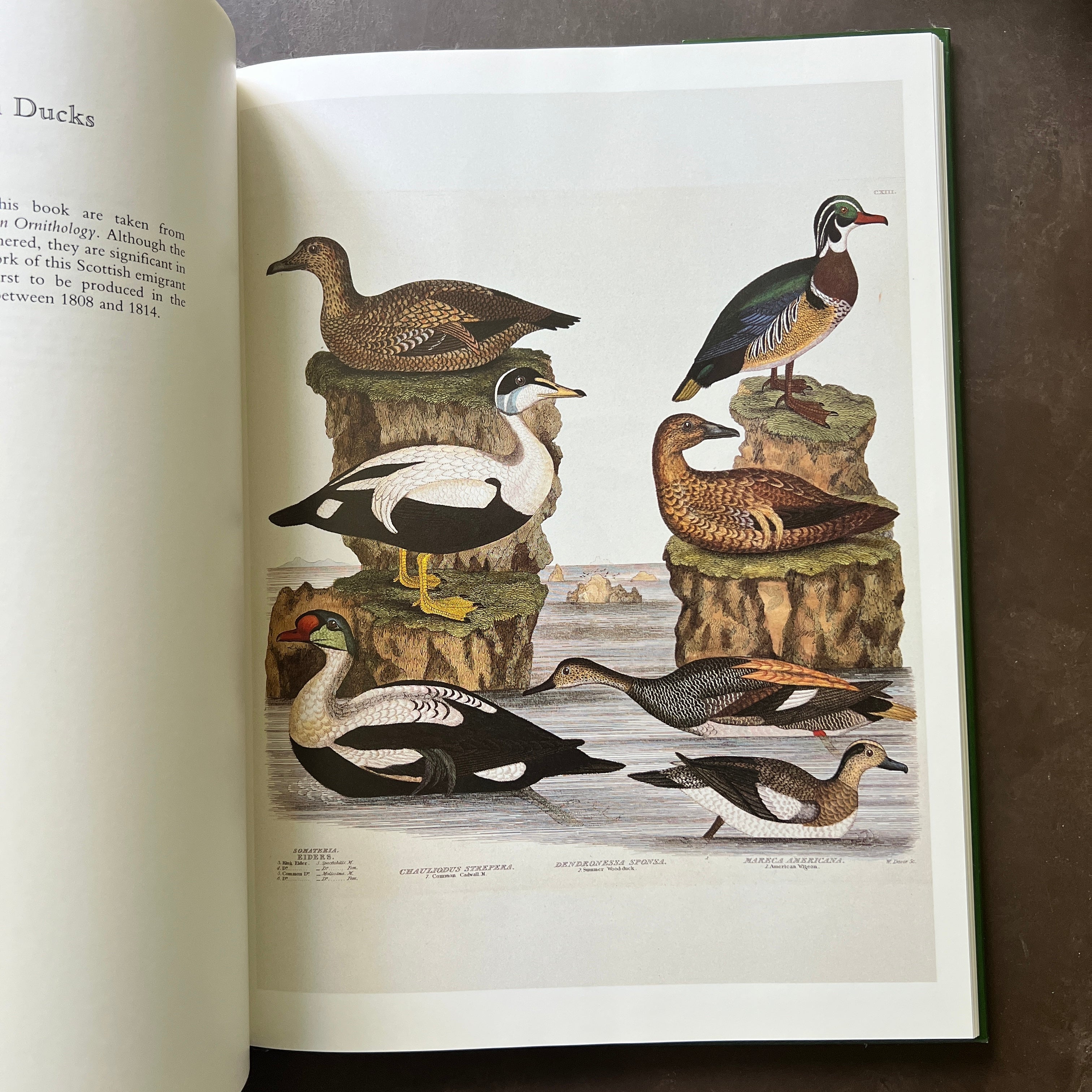 9AB4A3B5-25E3-400E-BBA5-