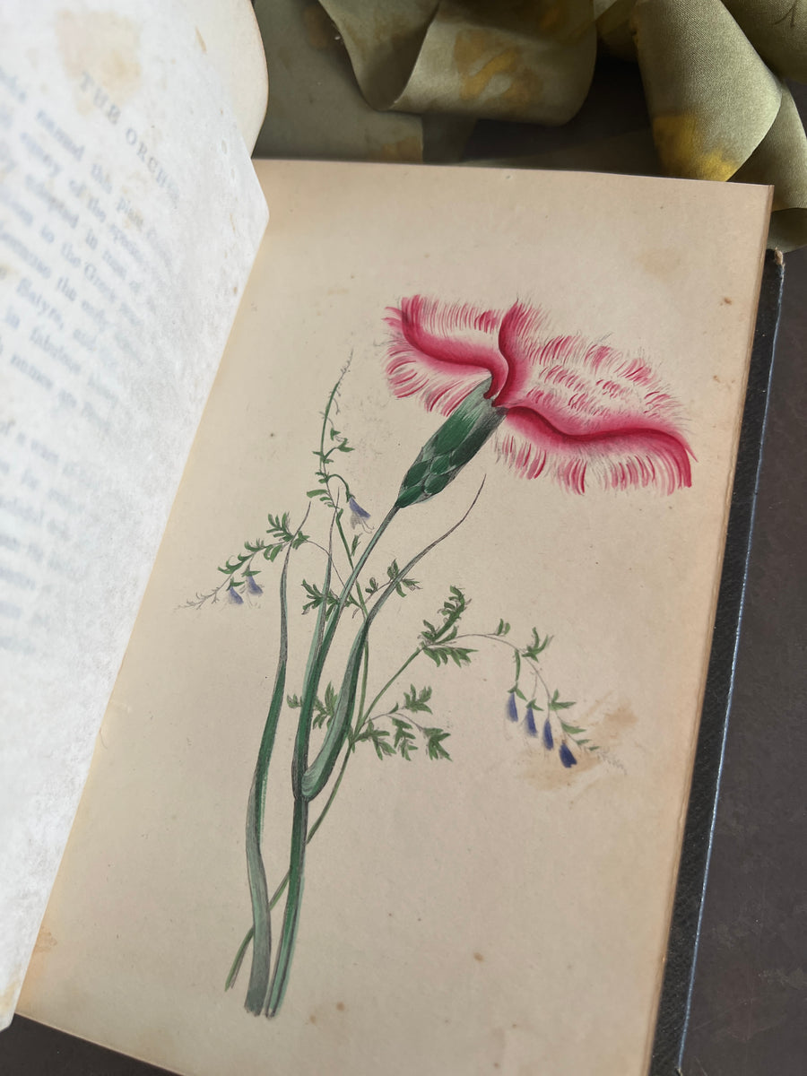 The Lady’s Book of Flowers and Poetry | 1859
