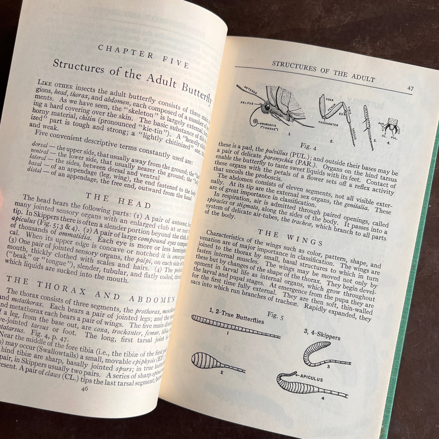 A Field Guide to the Butterlies of North America, east of the Great Plains(1951)