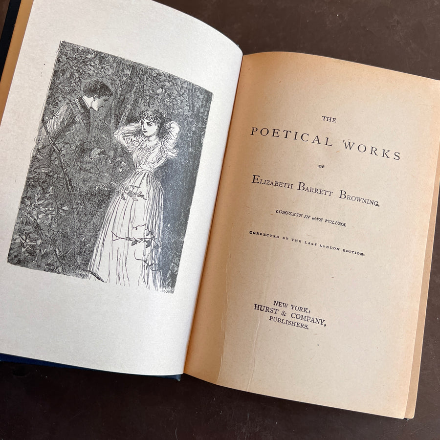 Antique & Vintage Literature and Poetry —Choose Your Title