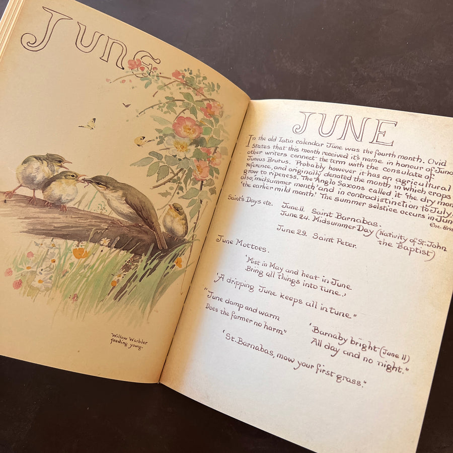 The Country Diary of An Edwardian Lady by Edith Holden, (1979) | Illustrated Nature Diary