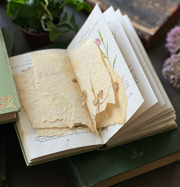 The Observer’s Book of Wild Flowers