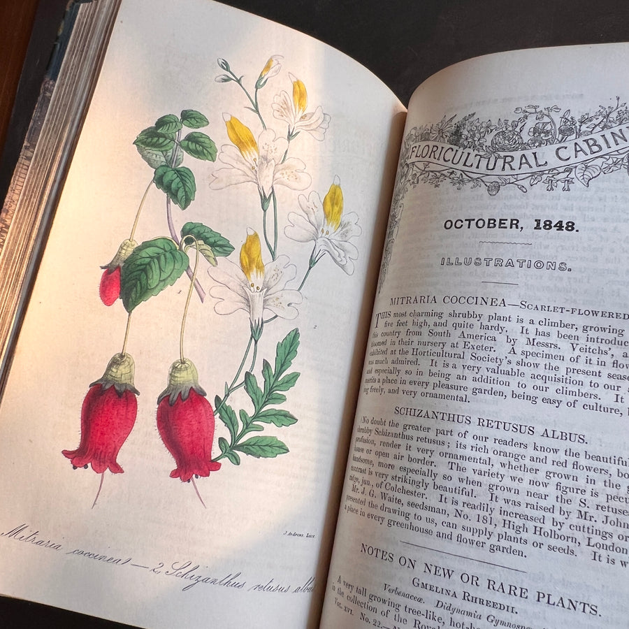 Floricultural Cabinet Book and Florist’s Magazine (1848) | With Hand-Colored Plates