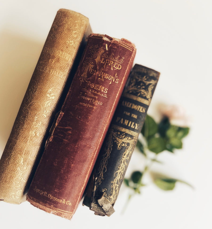 Antique Book Bundle | Distressed Decorative Books with Gilt Detail