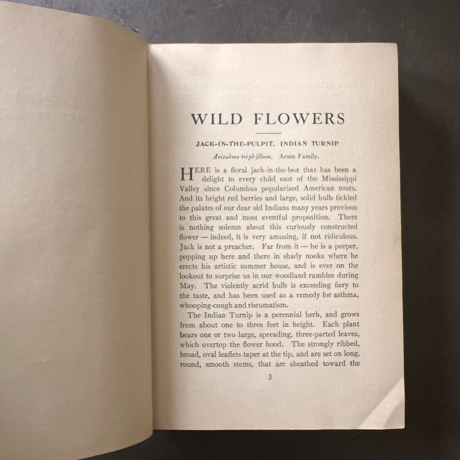 1909 - Wild Flowers Every Child Should Know, First Edition