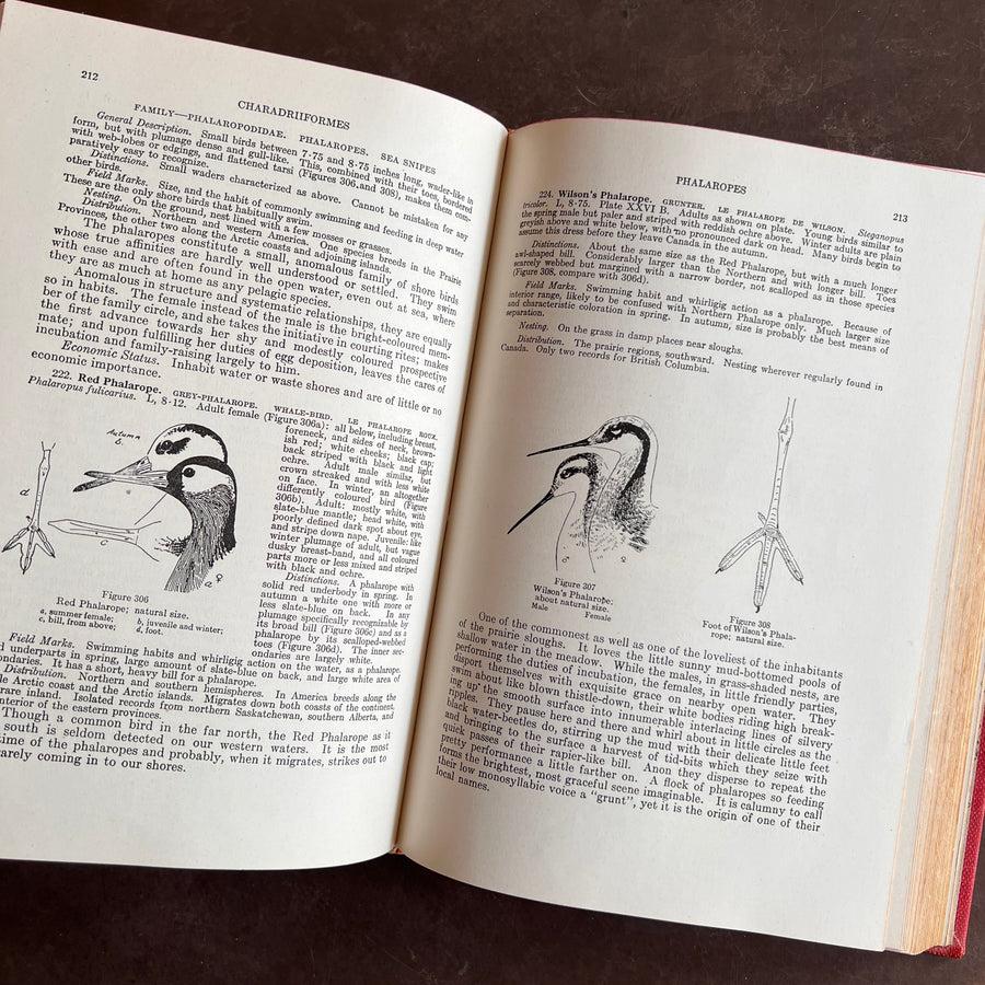 Birds of Canada by P.A. Taverner (1949 Revised Edition)