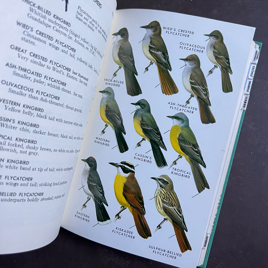 1961 - A Field Guide to Western Birds