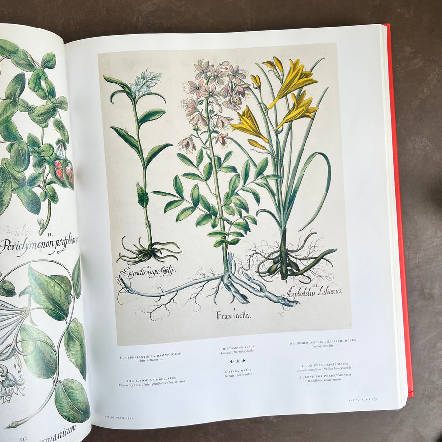 Botanical Pattern Book 2007 - The Book of Botanical Prints; The Complete Plates – Honey Bee Mill