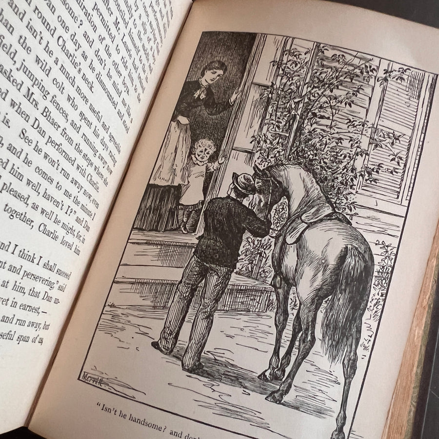 Little Men (1882) by Louisa May Alcott — Illustrated Roberts Brothers Edition — Decorative Victorian Binding