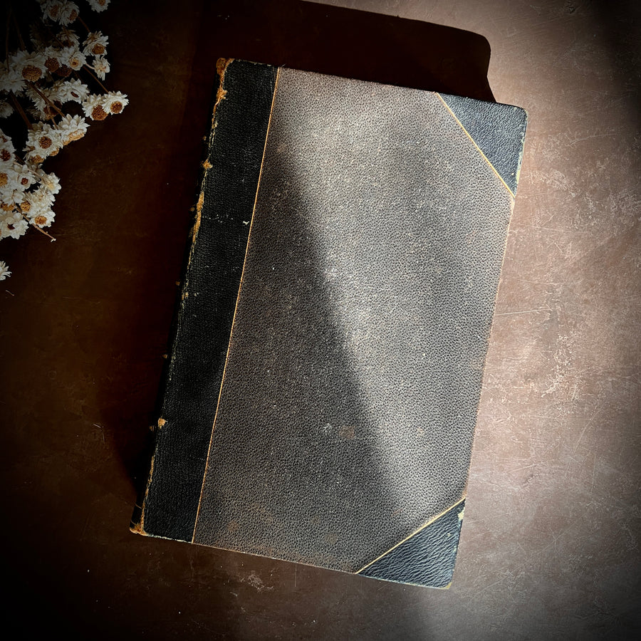 Peterson’s Magazine July–December 1874 | Victorian Women’s Fashion, Needlework & Music | Bound Volume