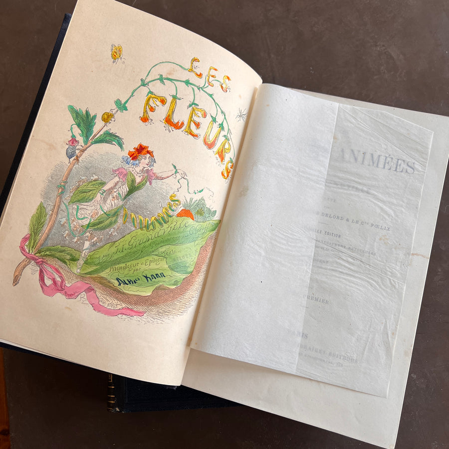 1867 Les Fleurs Animées – Grandville’s Botanical Anthropomorphism Masterpiece l 2-Volumes