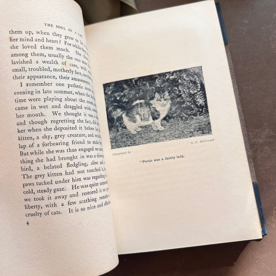 The Soul of a Cat and Other Stories — Margaret Benson (1901) | Fine Custom Binding with Marbled Endpapers