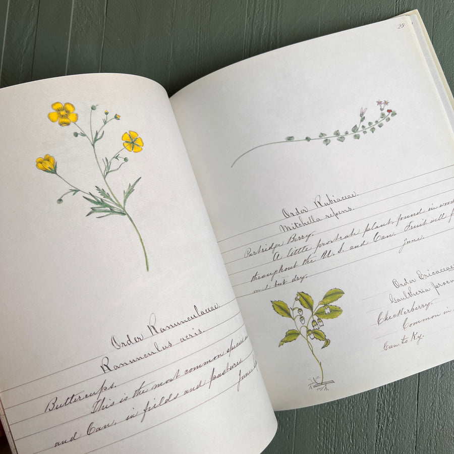 1997 - A Shaker’s Sister’s Drawings; Wild Plants Illustrated By Cora Helena Sarle , First Edition