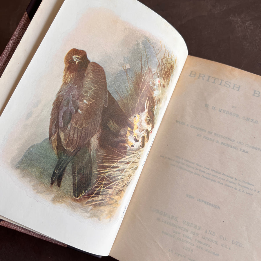 British Birds By W.H. Hudson (1926) | Half Leather Prize Fine Binding
